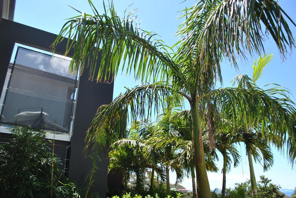 Aparthotel Reve De St. Barth à Gustavia Extérieur photo