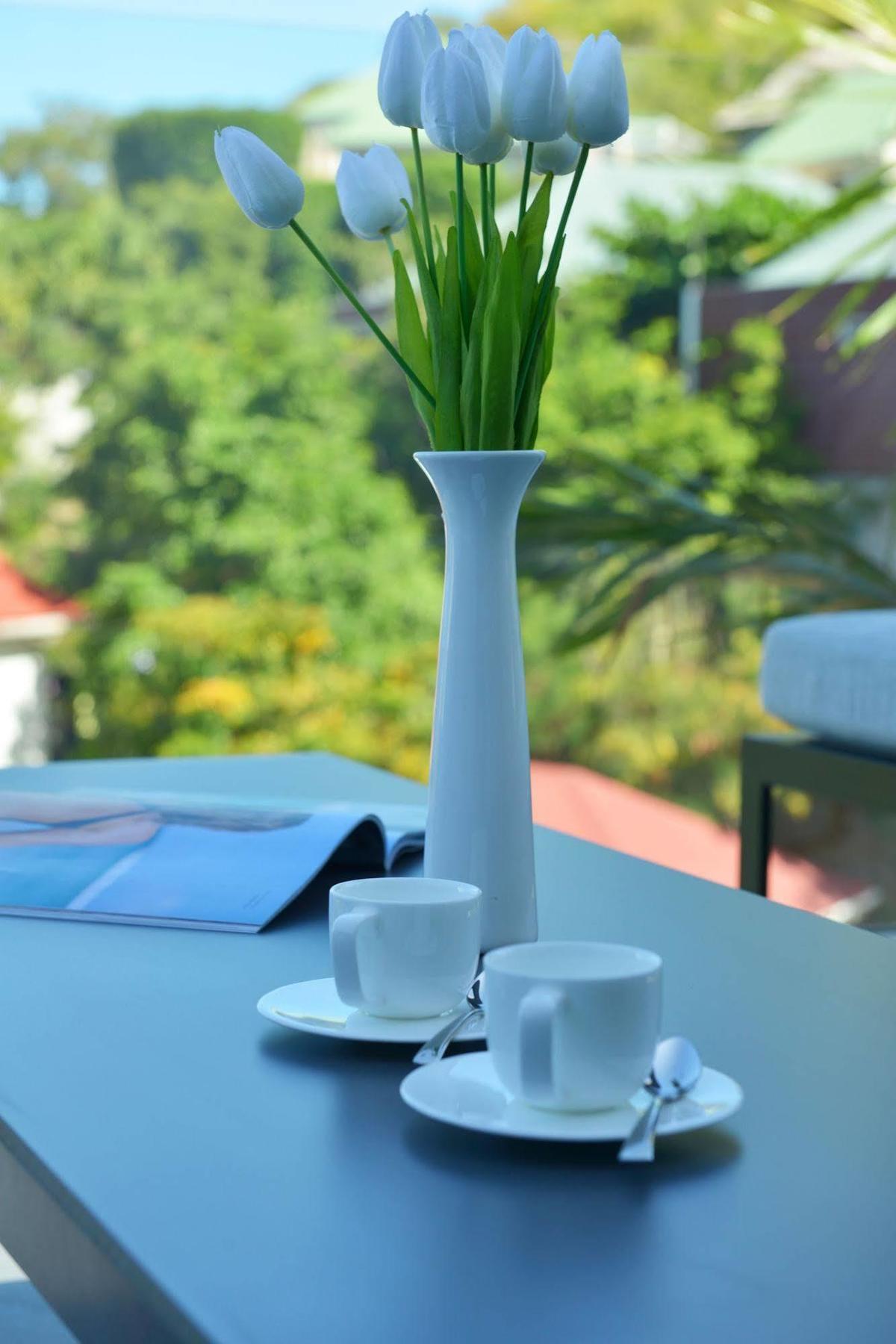 Aparthotel Reve De St. Barth à Gustavia Extérieur photo